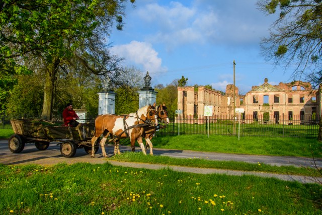 Ruiny pałacu w Kamieńcu