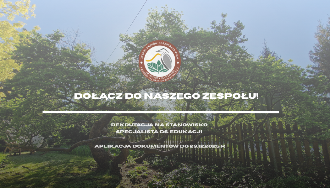 Nabór na stanowisko: specjalista ds. edukacji